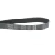 Ремінь генератора VW Touareg 4.2 V8 02-06 (7PK2365)