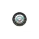 Ролик генератора Citroen Jumper/Fiat Ducato/Peugeot Boxer 2.3D-3.0D 94- (паразитний) (69.7х24.7)