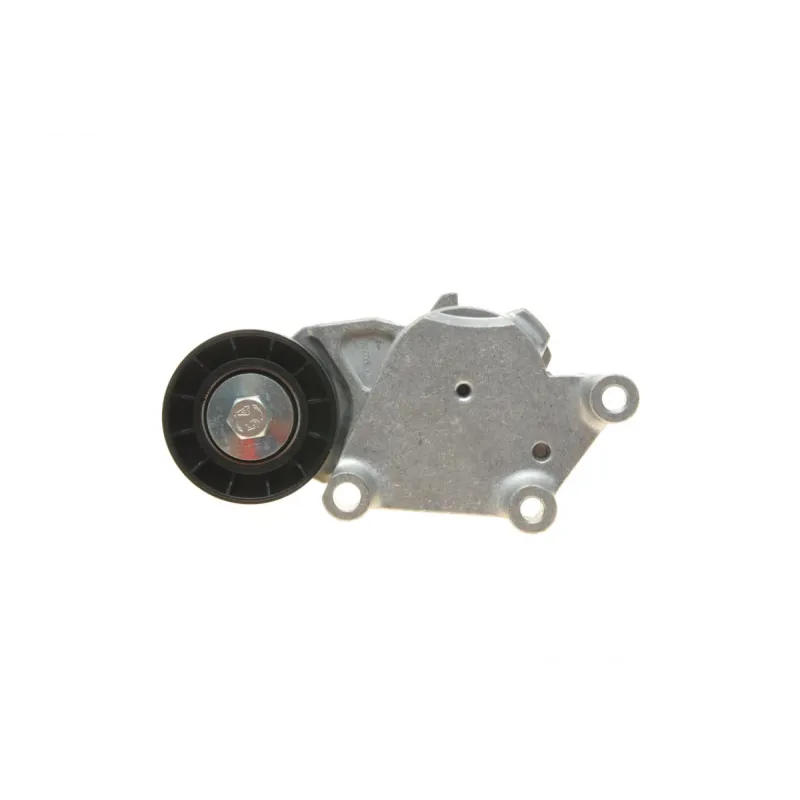 Натяжник ременя генератора Citroen/Peugeot/Ford 1.4HDi/1.6TDCi 01-