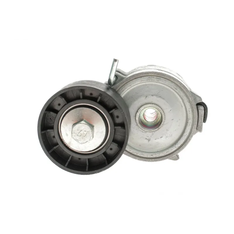 Натяжник ременя генератора Ford Mondeo IV/Peugeot 407 2.0TDCi/2.2 HDi 06-