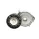 Натяжник ременя генератора Ford Mondeo IV/Peugeot 407 2.0TDCi/2.2 HDi 06-