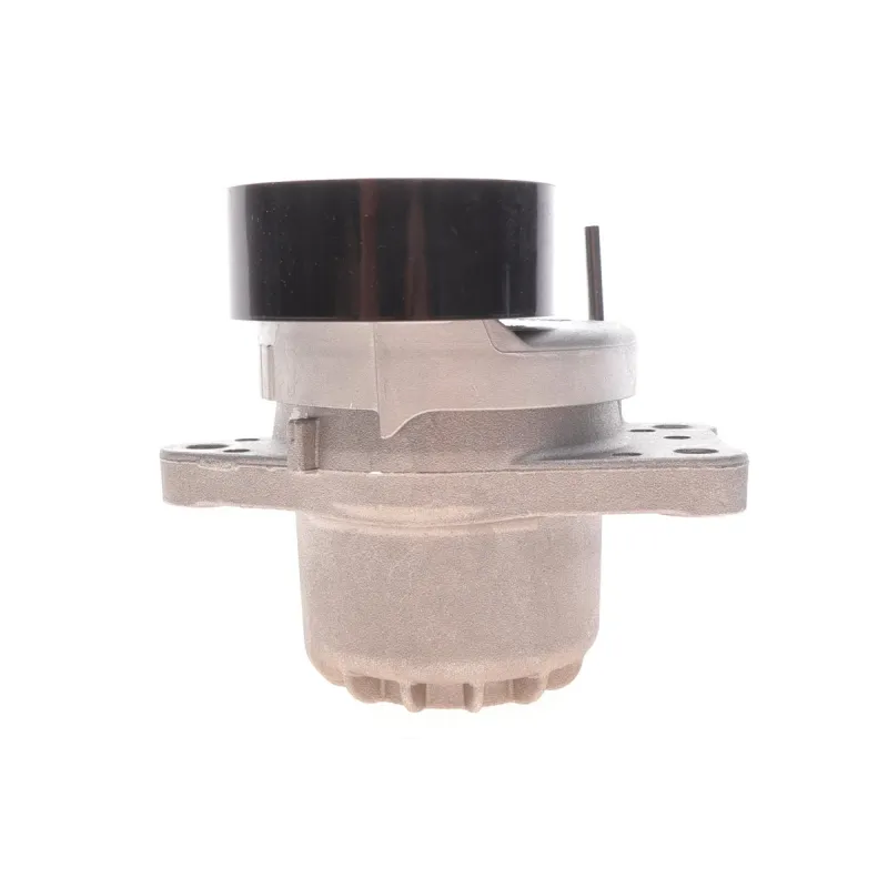 Ролик генератора Citroen C4/C5/Peugeot Expert 2.0HDi 09- (натяжний) (65х25)