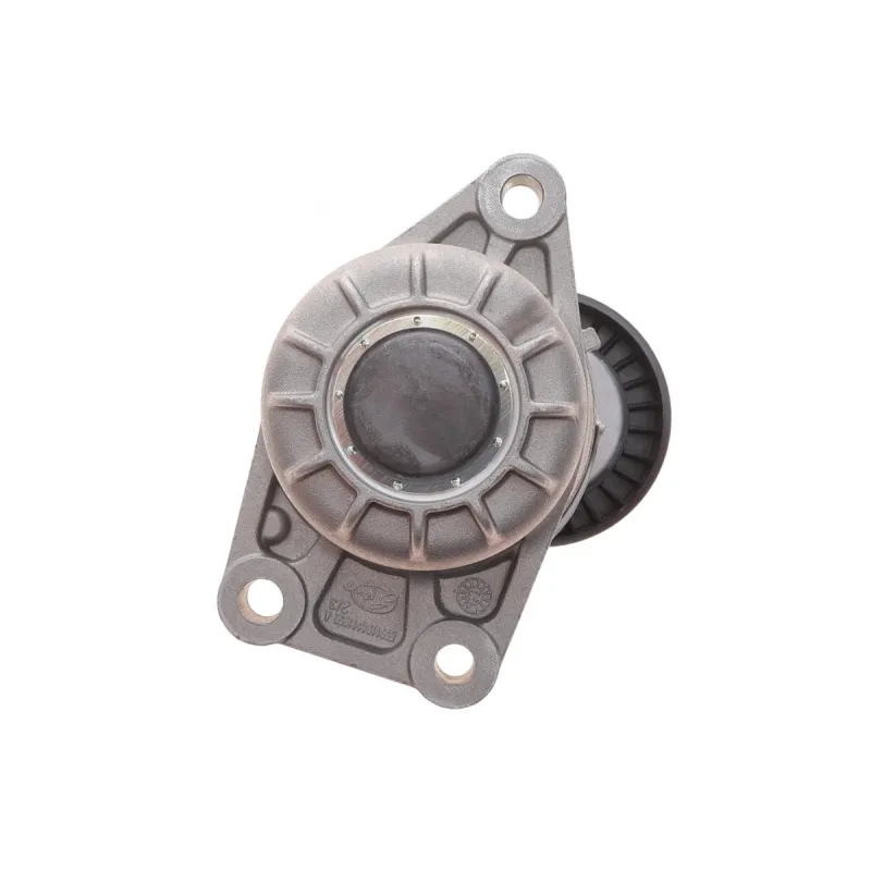 Ролик генератора Citroen C4/C5/Peugeot Expert 2.0HDi 09- (натяжний) (65х25)