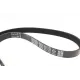 Комплект ременя генератора Citroen Jumper/Peugeot Boxer 3.0D 06-