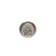 Комплект ГРМ з помпою DAYCO KTBWP3610 для Opel Astra G 1998-2005, Zafira 1999-2005, Combo 1.6 2005-