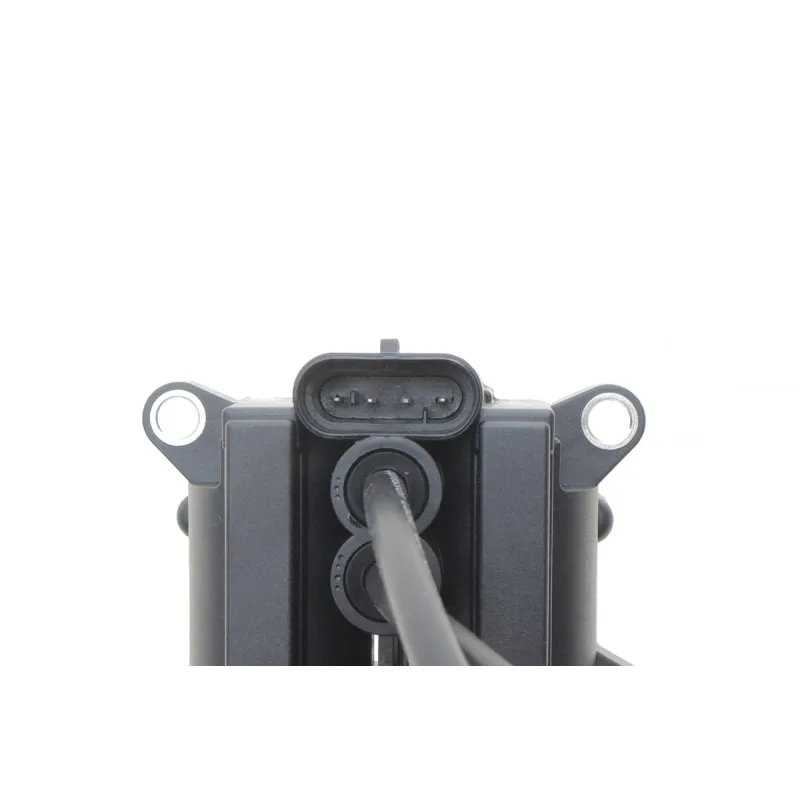 Котушка запалювання Renault Kangoo 1.2 16V 01- (к-кт) (+ проводи запалювання)