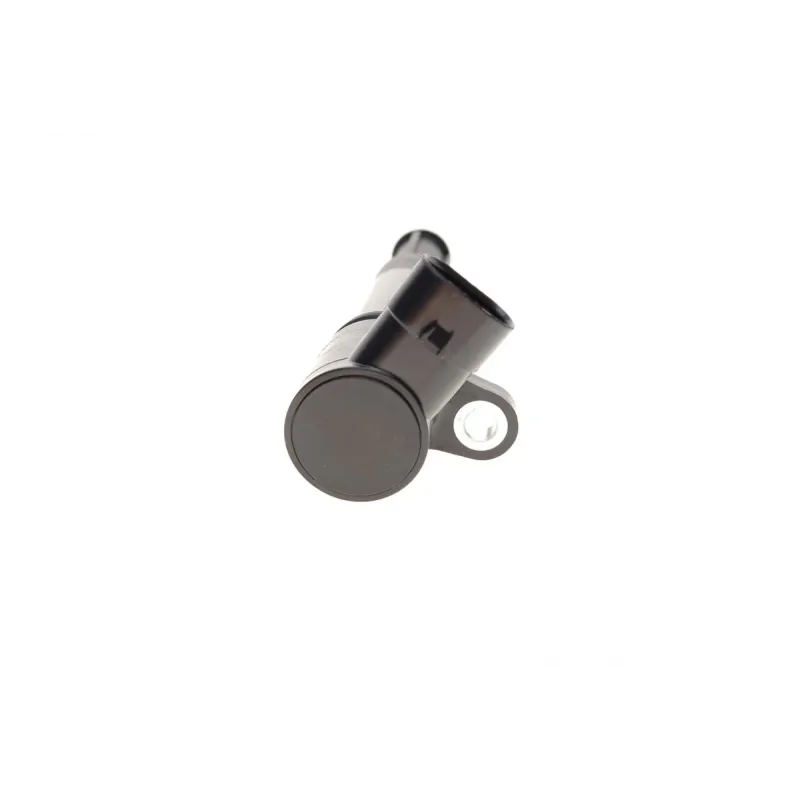 Котушка запалювання Iveco Daily IV/Opel Combo/Fiat Ducato 1.4-3.0 09-