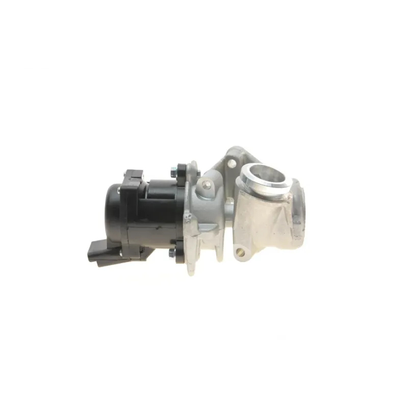 Клапан EGR DELPHI EG10401-12B1 для Ford Focus/Fiesta, Citroen Berlingo, Peugeot Partner 1.6HDi 08-