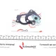 Комплект прокладок турбіни DP 170063056 для Fiat Doblo 1.3JTD 2005-2010, з гвинтами та ущільненнями