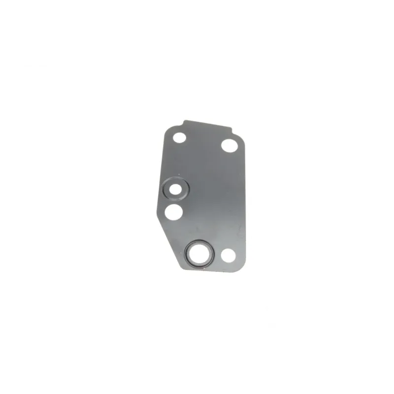 Комплект прокладок (повний) Ford Transit 2.4DI 01-06 (без прокладки ГБЦ)