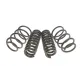 Комплект пружин (Pro-Kit) BMW X1 (E84) 09-15 (4 шт.) (для авт. без рег. дор. просвіту)