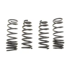 Купити Комплект пружин (Pro-Kit) Honda Accord VIII 2.2 i-DTEC/2.4i 08-15 (4 шт.) | KovelAutoHub