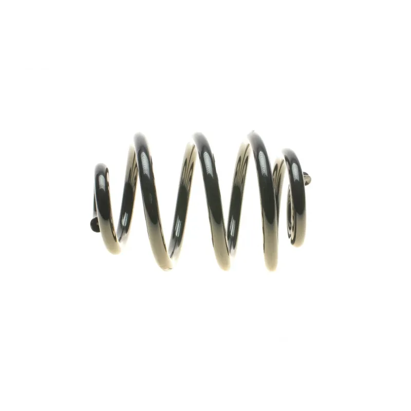Пружина задня EIBACH R10082 для VW Sharan, Seat Alhambra, Ford Galaxy 1995-2010, діаметр дроту 17 мм