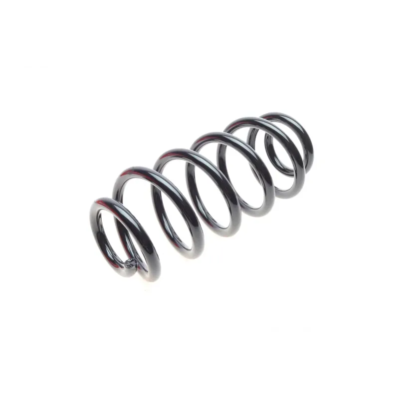 Пружина передньої підвіски EIBACH R10137 для Audi A4 B6/B7 2000-2008 (319 мм)