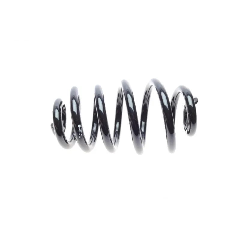 Пружина задня EIBACH R10274 для Audi A4 B6/B7, Seat Exeo ST, 250 мм