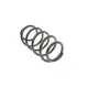Пружина (передня) VW Passat 1.4-2.0TSI/1.6/2.0TDI 05-14