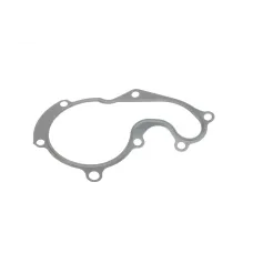 Прокладка помпи води Ford Connect 1.8TDCi 02-