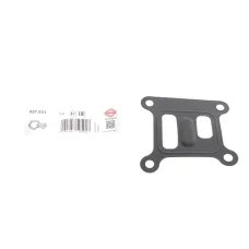 Прокладка помпи води ELRING 027.831 для Ford Transit 2.0 DI 2000-2006, Mondeo III 2.0 TDCi 2000-2007