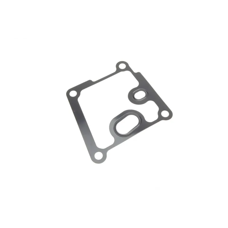Комплект прокладок (нижній) Ford Transit Connect 1.8 TDCi 02-13
