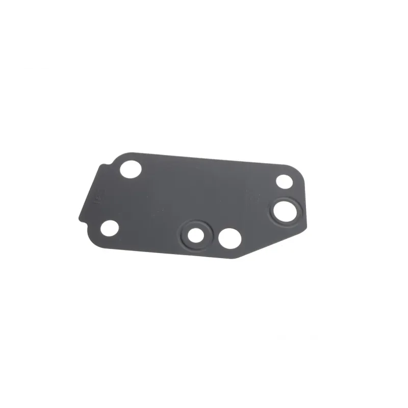 Комплект прокладок (нижній) Ford Transit 2.4 TDCi 00-06