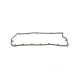 Прокладка кришки клапанів VW T5/Touareg 2.5TDI 03-10