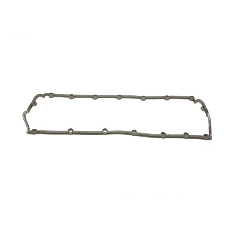 Прокладка кришки клапанів VW T5/Touareg 2.5TDI 03-10