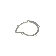 Купити Прокладка помпи води Citroen Jumper/Jumpy/Peugeot Boxer/Expert 2.0/2.2 HDi 02- | KovelAutoHub