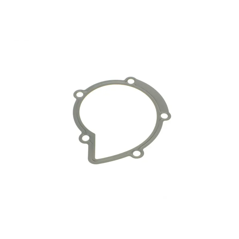 Прокладка помпи води Citroen Jumper/Jumpy/Peugeot Boxer/Expert 2.0/2.2 HDi 02-