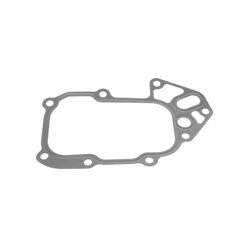 Комплект прокладок (верхній) Iveco Daily/Fiat Ducato/Citroen Jumper/Peugeot Boxer 3.0D 99-