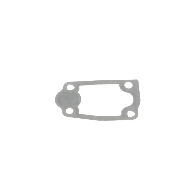 Комплект прокладок (верхній) Iveco Daily/Fiat Ducato/Citroen Jumper/Peugeot Boxer 3.0D 99-