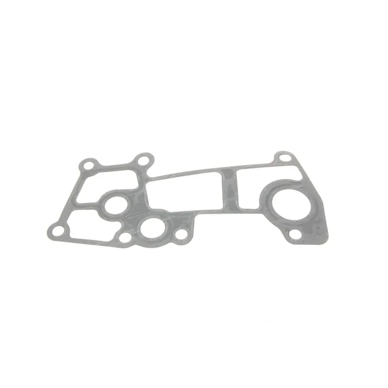 Комплект прокладок (верхній) Iveco Daily/Fiat Ducato/Citroen Jumper/Peugeot Boxer 3.0D 99-