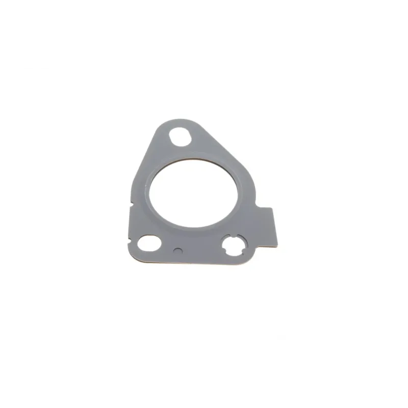 Комплект прокладок турбіни Renault Kangoo 1.5 dCi 09- (80kW)