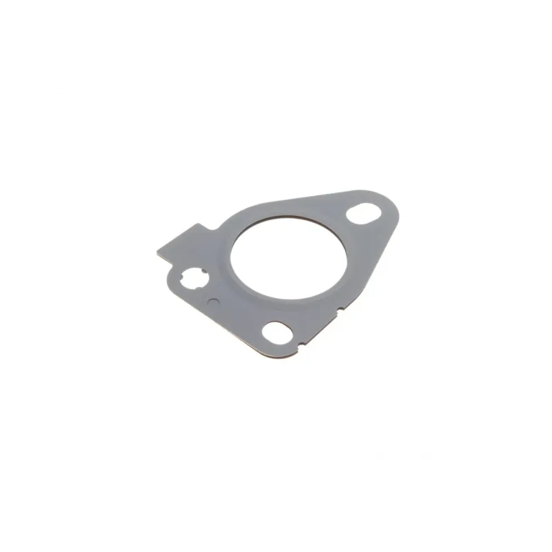 Комплект прокладок турбіни Renault Kangoo 1.5 dCi 09- (80kW)