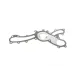 Прокладка помпи води ELRING 586.170 для Lexus ES/RX, Toyota Highlander/Camry 3.5 2005-