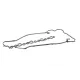 Прокладка кришки клапанів Toyota Rav4 2.0/2.2D 06-