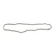 Прокладка кришки клапанів ELRING 597.000 для BMW 3 (F30/F80) 10-18, 5 (F10/G30/F90) 10-18, X5 (F15/F85) 10-18