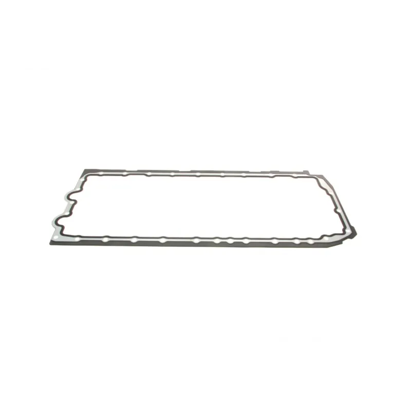 Комплект прокладок (нижній) BMW 3 (E90/F30/F80)/5 (F10)/7 (F01/F02/F03/F04) 06- N53/N54