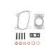 Комплект прокладок турбіни Fiat Ducato 2.0JTD 01-