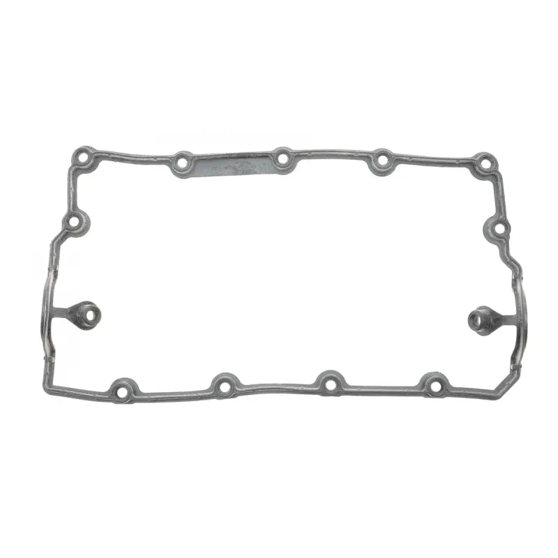 Прокладка кришки клапанів VW Golf IV 1.9 TDI 99-06 (к-кт)