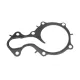 Комплект прокладок (нижній) Ford Transit 1.0 EcoBoost 13-