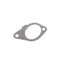 Прокладка колектора впускного Fiat Scudo/Peugeot Expert 1.9D (DW8)