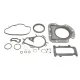 Комплект прокладок (нижній) Citroen Berlingo/Peugeot Partner 1.2 THP 16-