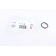 Прокладка радіатора масляного BMW 1 (E82)/3 (E46)/5 (E60) 1.6/1.8/2.0 00-15