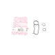 Прокладка радіатора масляного ELRING 841.060 для Ford Transit/Tourneo Custom 2.0 TDCi/EcoBlue