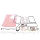 Комплект прокладок (повний) Renault Kangoo/Clio/Nissan Kubistar 1,0-1.2 01-