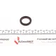 Комплект прокладок (повний) Renault Kangoo/Clio/Nissan Kubistar 1,0-1.2 01-