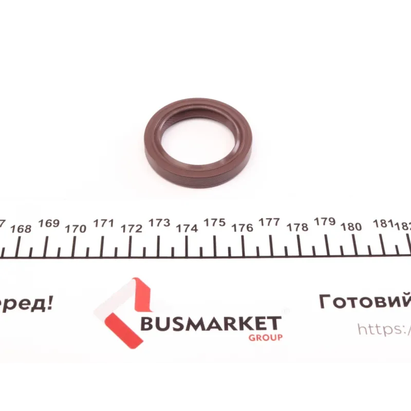 Комплект прокладок (повний) Renault Kangoo/Clio/Nissan Kubistar 1.2 96-
