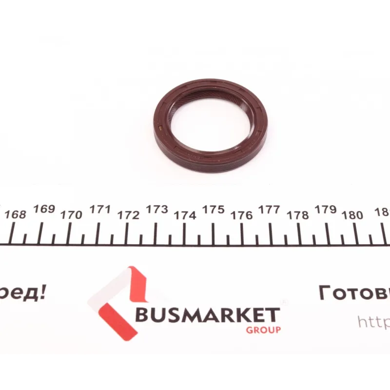 Комплект прокладок (повний) Renault Kangoo/Clio/Nissan Kubistar 1.2 96-