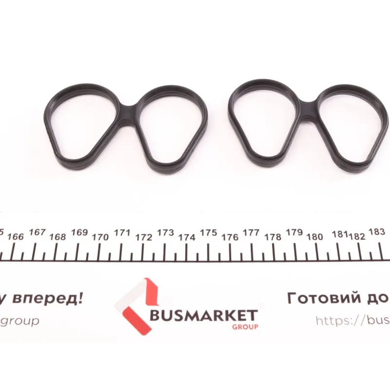 Комплект прокладок (повний) Renault Kangoo/Clio/Nissan Kubistar 1.2 96-