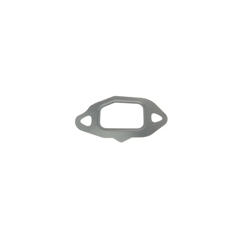 Прокладка клапана EGR Fiat Doblo 1.3 JTD 05- (к-кт)